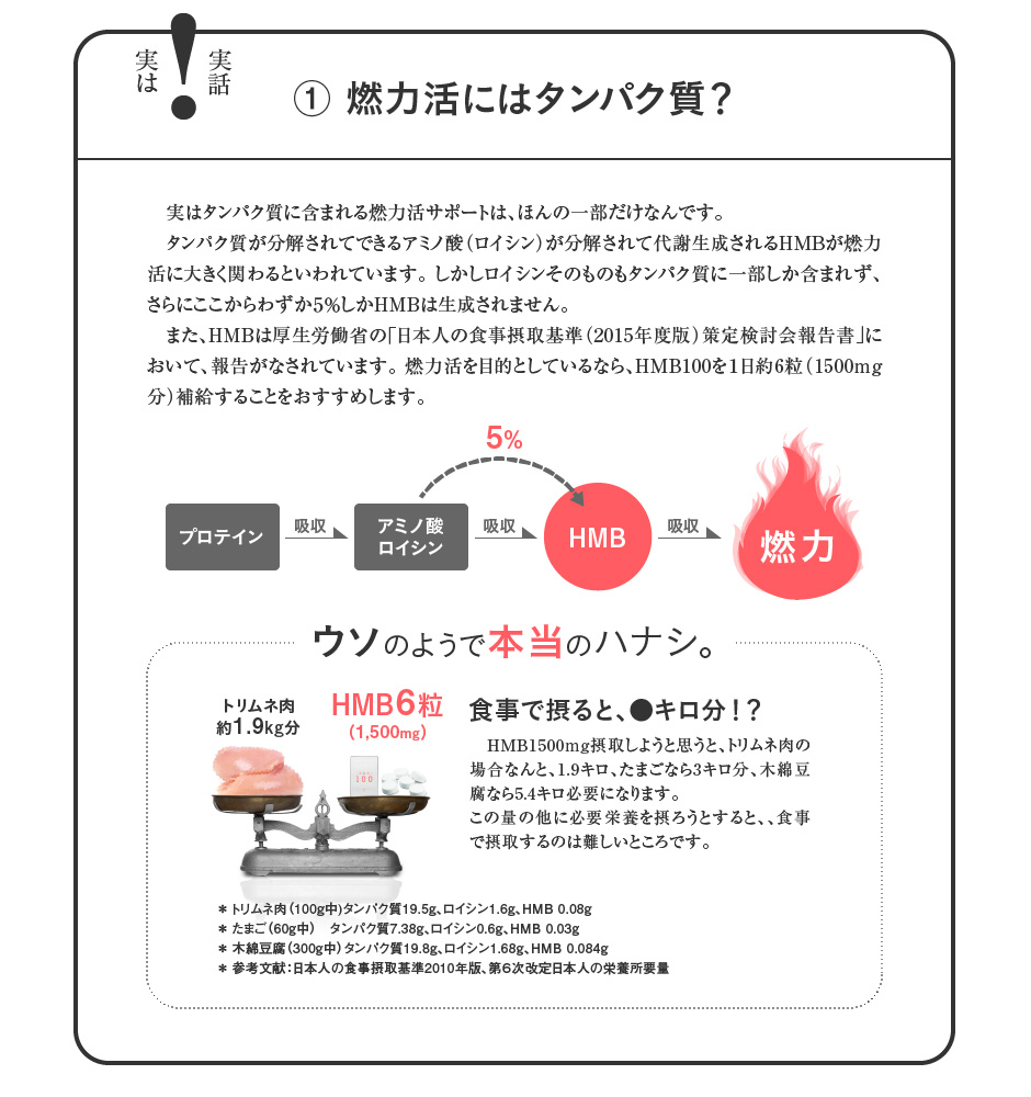 燃力活にはタンパク質