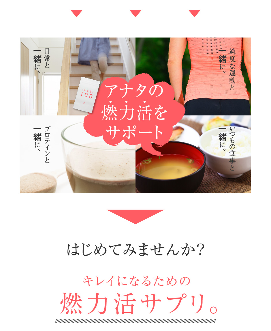 アナタの燃力活をサポート