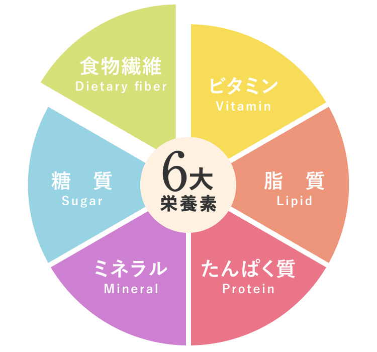 食物繊維の重要さ