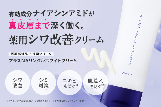 プラスキレイ 美容液セットプラスモイストNA×2個 プラスピュアVC25ミニ