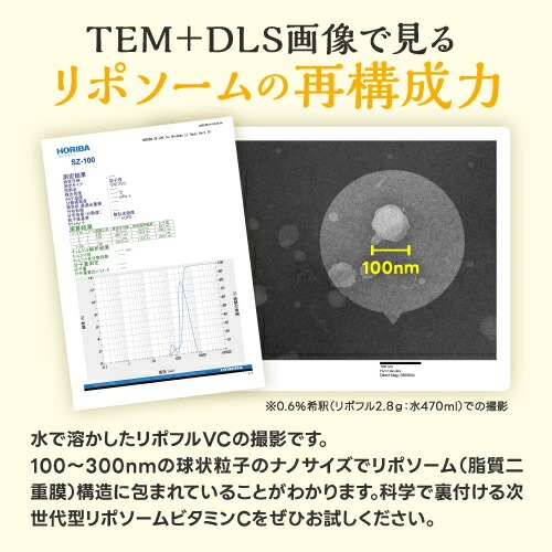 リポソーム　 ビタミンC ２箱 公式通販】リポスフェリック ビタミンC 2箱 LivOn社推奨・公式