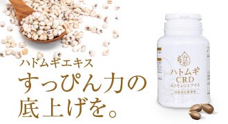 ハトムギ