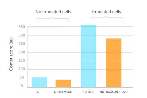 UVB照射によるケラチノサイト（角化細胞）のダメージを減少させるデータ