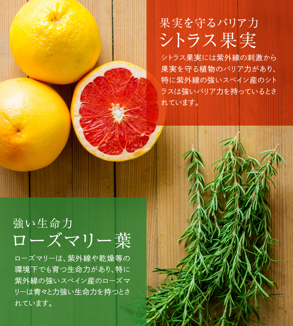 シトラスとローズマリー
