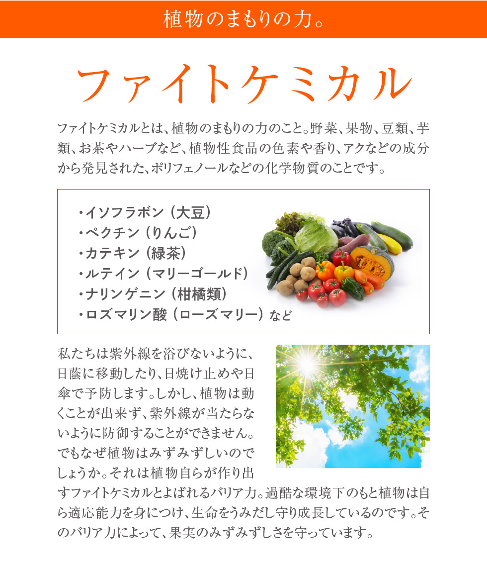 ファイトケミカル1