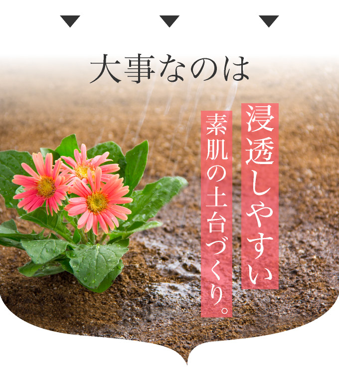 大事なのは浸透しやすい素肌の土台づくり