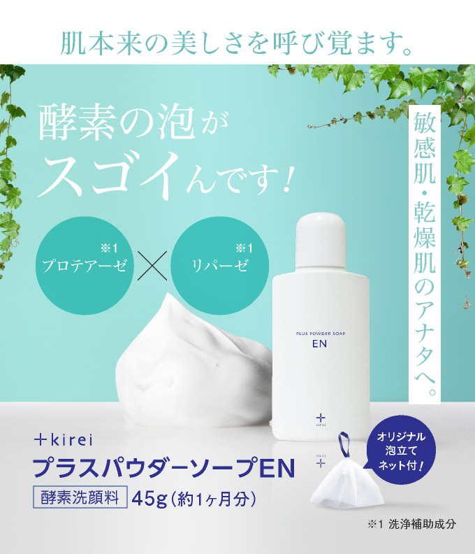 プラスパウダーソープEN