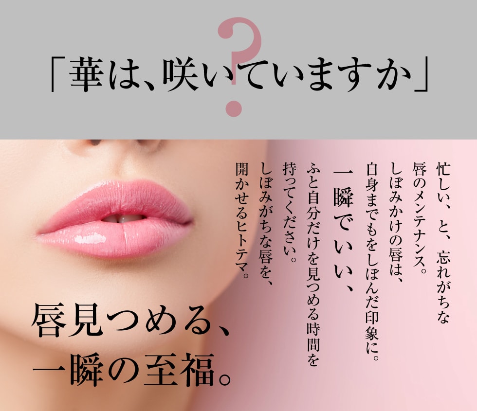 華は、咲いていますか
