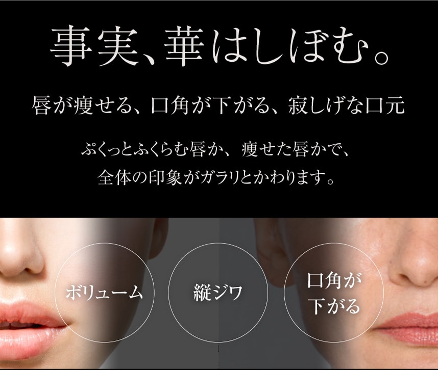 事実、華はしぼむ