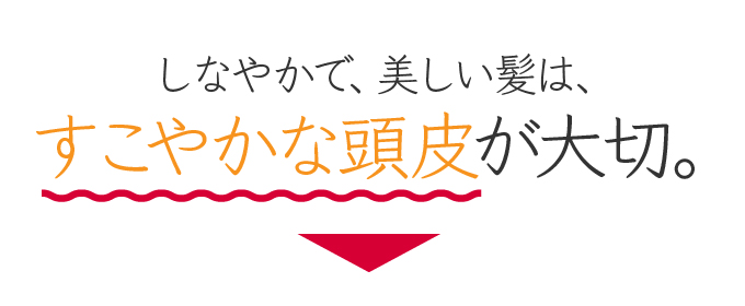 美しい髪には、すこやかな頭皮が大切