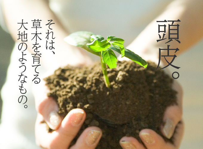 頭皮、それは草木を育てる大地のようなもの