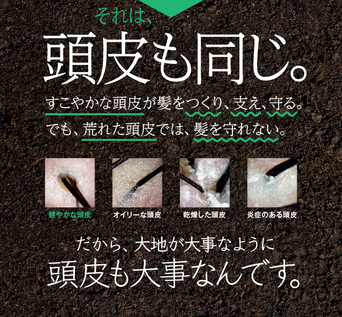 大地が大事なように、頭皮も大事