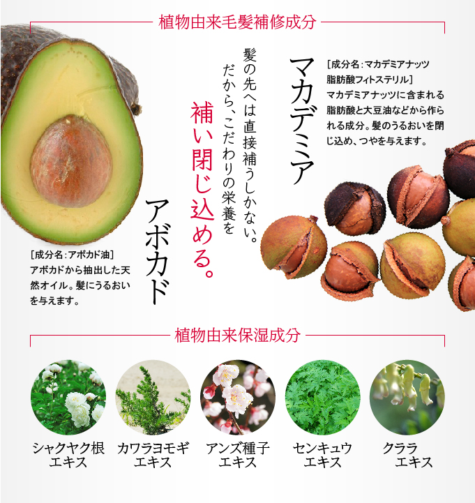 植物由来のトリートメント
